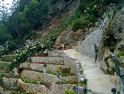 Qantara Holidays 2D1N on FB Basis